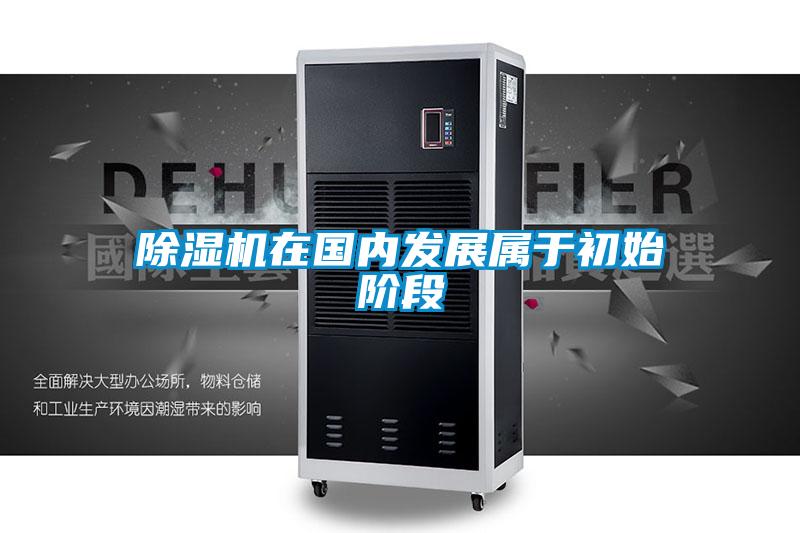 草莓视频APP在线观看在国内发展属于初始阶段