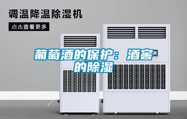 葡萄酒的保护：酒窖的除湿