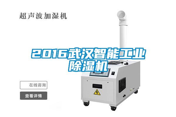 2016武汉智能工业草莓视频APP在线观看