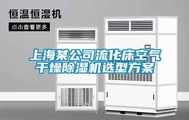 上海某公司流化床空气干燥草莓视频APP在线观看选型方案