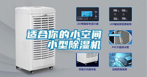 适合你的小空间 —小型草莓视频APP在线观看