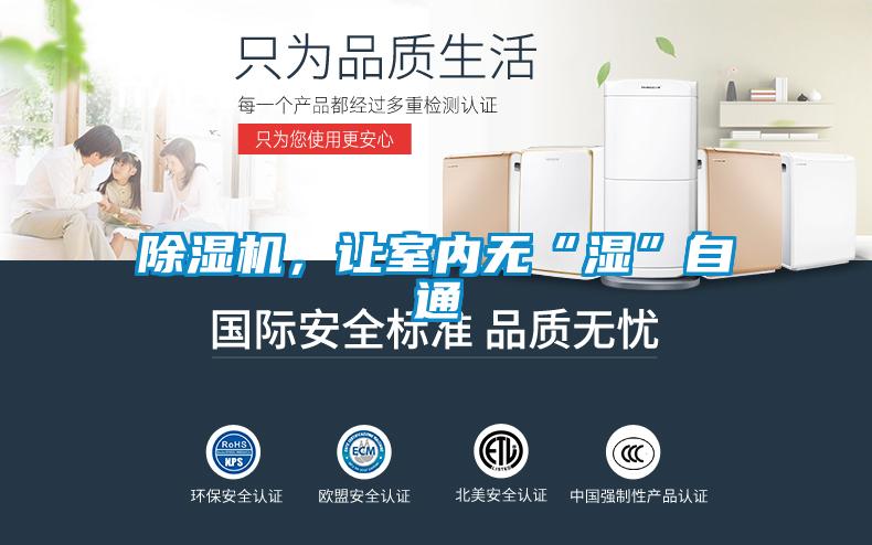草莓视频APP在线观看，让室内无“湿”自通