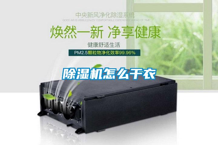 草莓视频APP在线观看怎么干衣