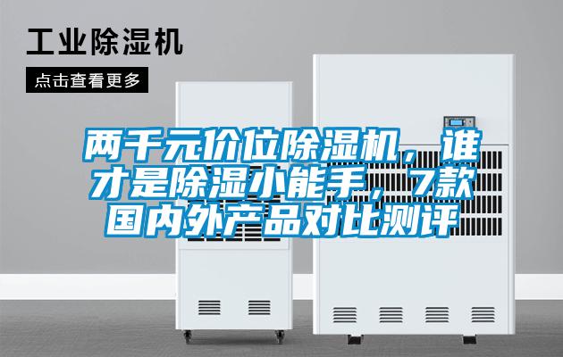 两千元价位草莓视频APP在线观看，谁才是除湿小能手，7款国内外产品对比测评