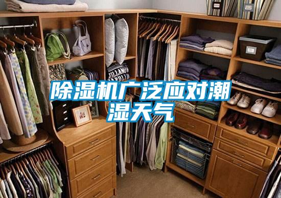 草莓视频APP在线观看广泛应对潮湿天气