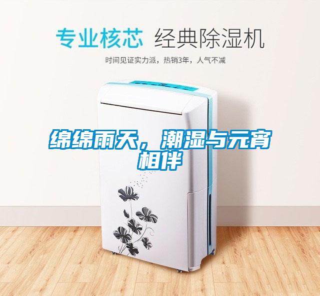 绵绵雨天，潮湿与元宵相伴