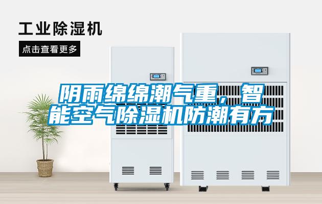 阴雨绵绵潮气重，智能空气草莓视频APP在线观看防潮有方