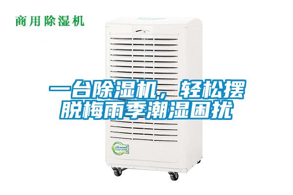 一台草莓视频APP在线观看，轻松摆脱梅雨季潮湿困扰