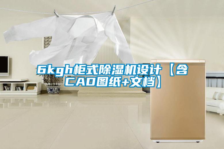 6kgh柜式草莓视频APP在线观看设计【含CAD图纸+文档】