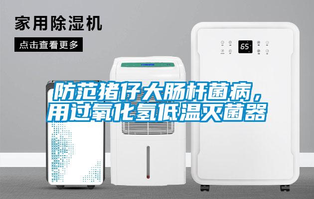 防范猪仔大肠杆菌病，用过氧化氢低温灭菌器