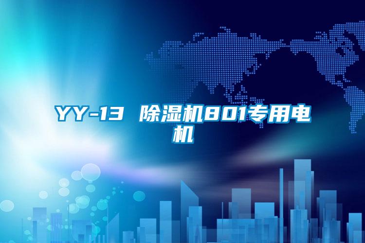 YY-13 草莓视频APP在线观看801专用电机