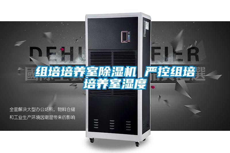 组培培养室草莓视频APP在线观看 严控组培培养室湿度