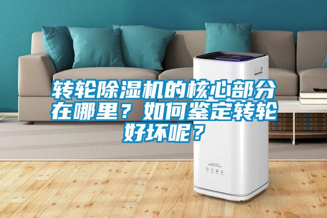 转轮草莓视频APP在线观看的核心部分在哪里？如何鉴定转轮好坏呢？
