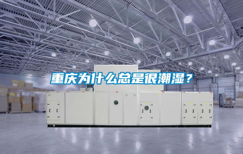 重庆为什么总是很潮湿？