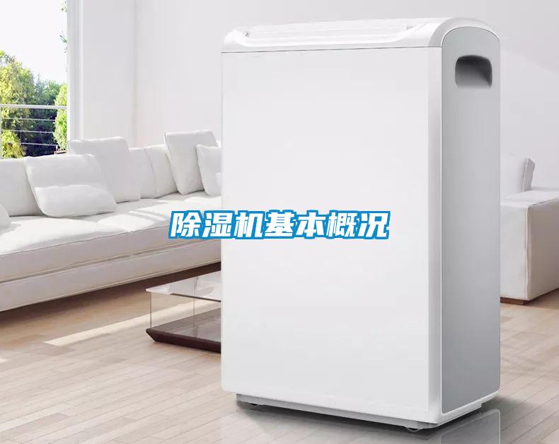 草莓视频APP在线观看基本概况