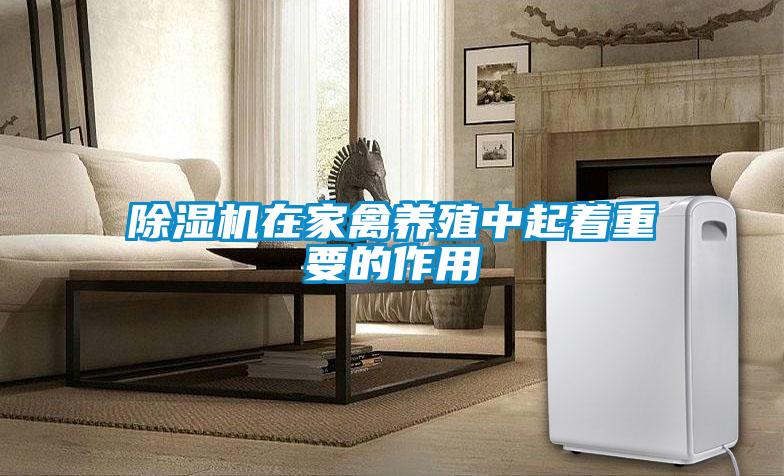 草莓视频APP在线观看在家禽养殖中起着重要的作用