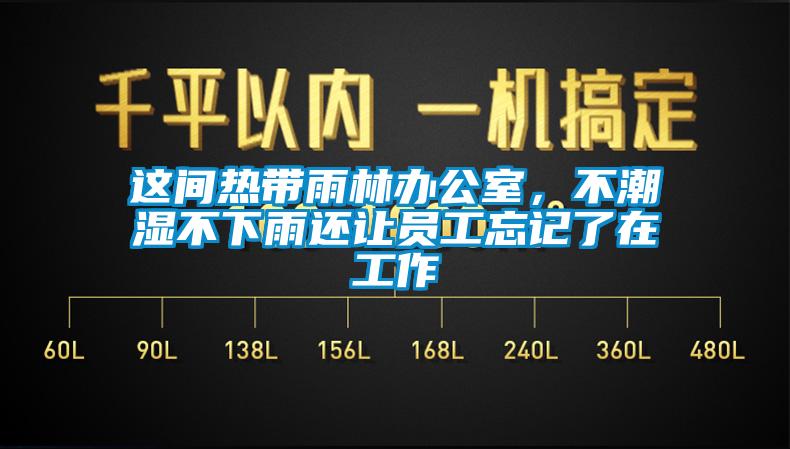 这间热带雨林办公室，不潮湿不下雨还让员工忘记了在工作