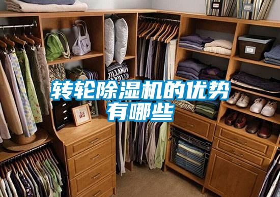 转轮草莓视频APP在线观看的优势有哪些