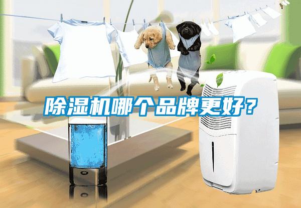 草莓视频APP在线观看哪个品牌更好？