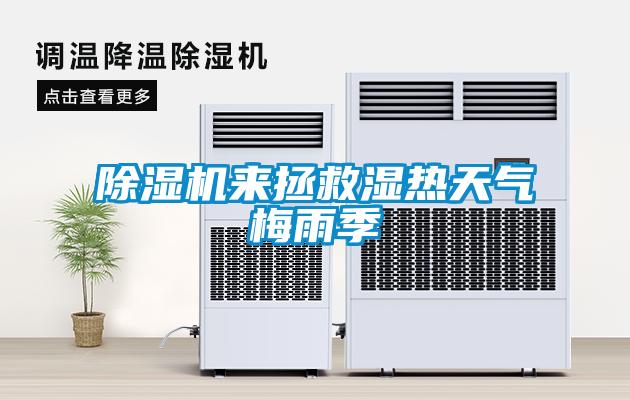草莓视频APP在线观看来拯救湿热天气梅雨季