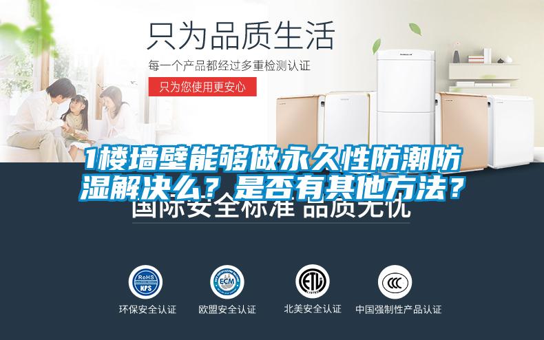 1楼墙壁能够做永久性防潮防湿解决么？是否有其他方法？