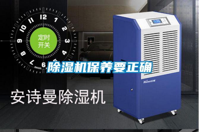 草莓视频APP在线观看保养要正确