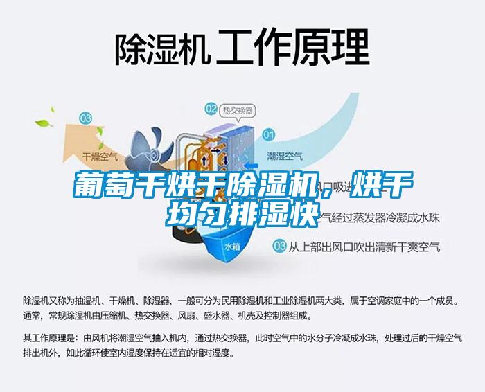 葡萄干烘干草莓视频APP在线观看，烘干均匀排湿快