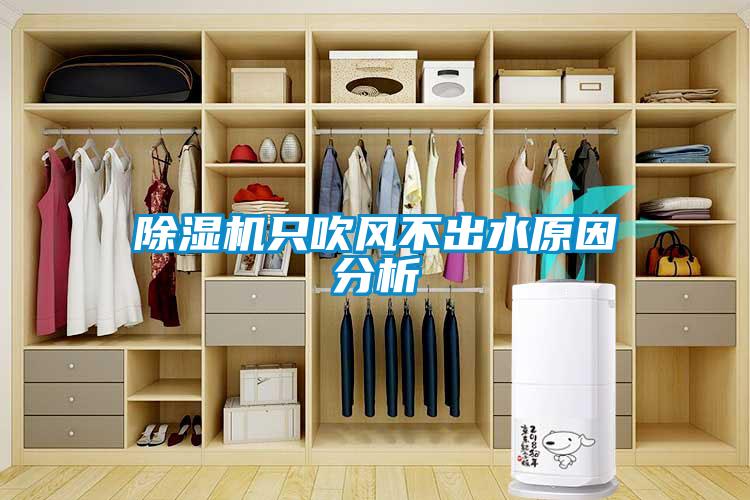 草莓视频APP在线观看只吹风不出水原因分析