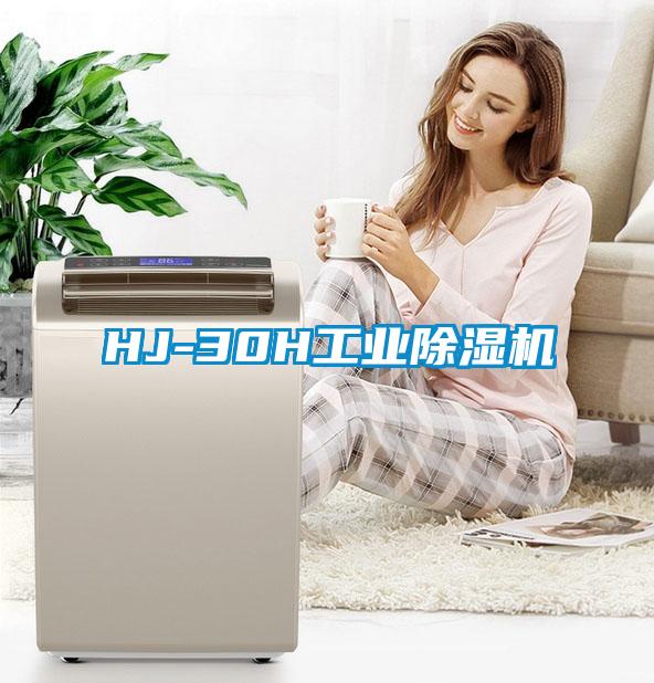 HJ-30H工业草莓视频APP在线观看