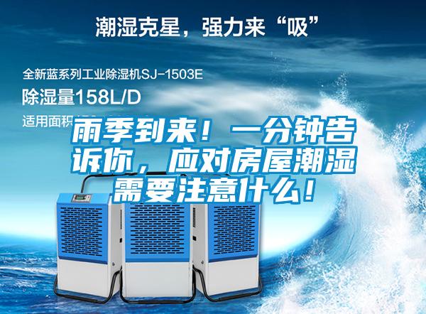 雨季到来！一分钟告诉你，应对房屋潮湿需要注意什么！