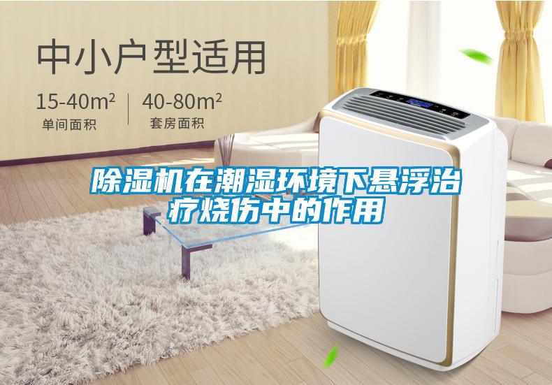 草莓视频APP在线观看在潮湿环境下悬浮治疗烧伤中的作用