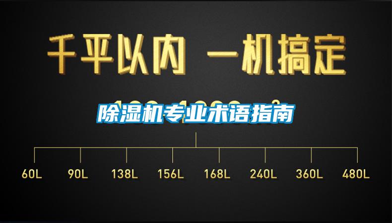 草莓视频APP在线观看专业术语指南