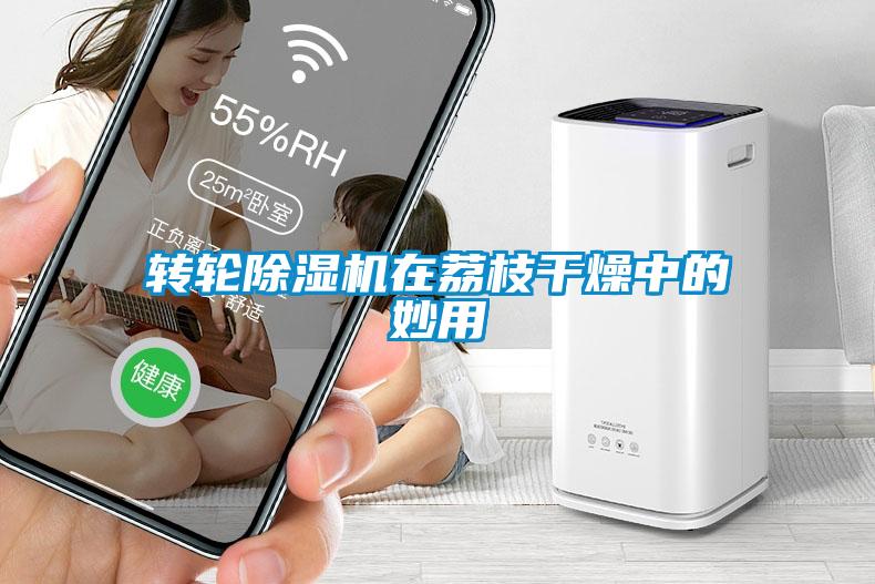 转轮草莓视频APP在线观看在荔枝干燥中的妙用