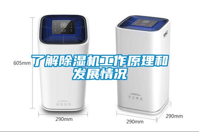 了解草莓视频APP在线观看工作原理和发展情况