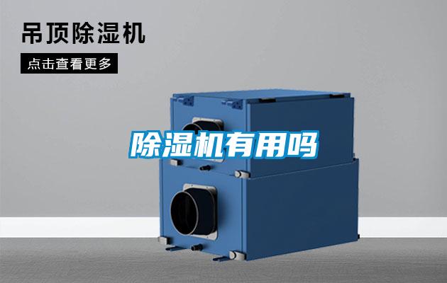 草莓视频APP在线观看有用吗