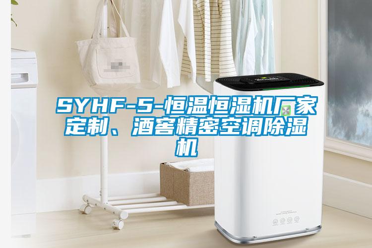 SYHF-5-恒温恒湿机厂家定制、酒窖精密空调草莓视频APP在线观看