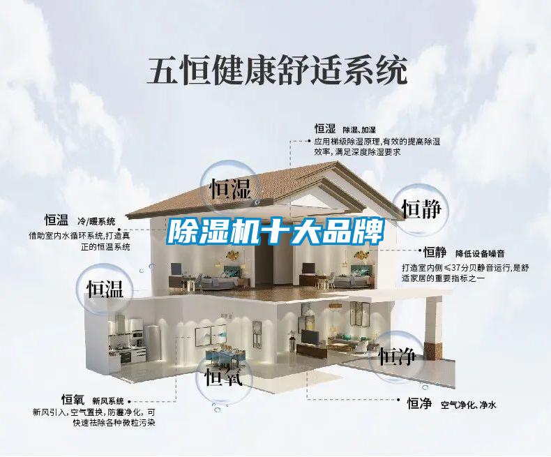草莓视频APP在线观看十大品牌