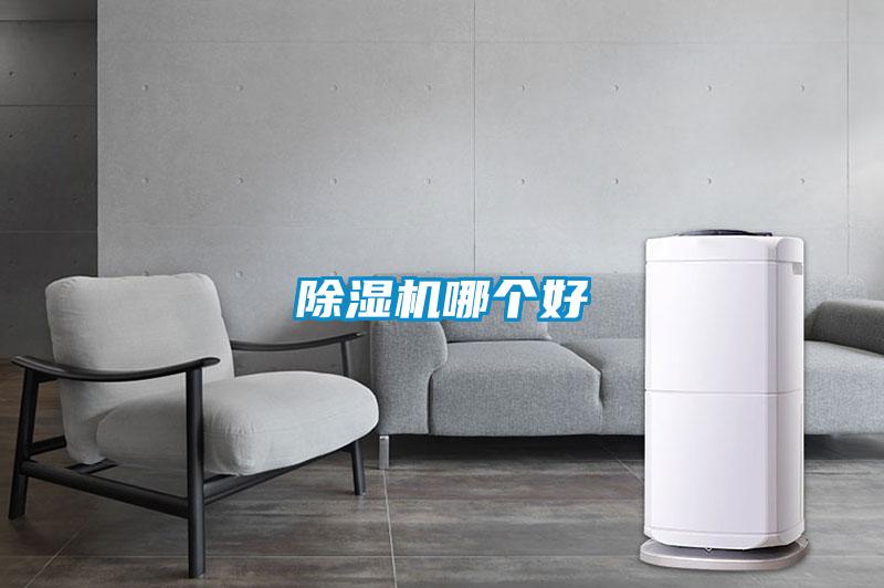 草莓视频APP在线观看哪个好