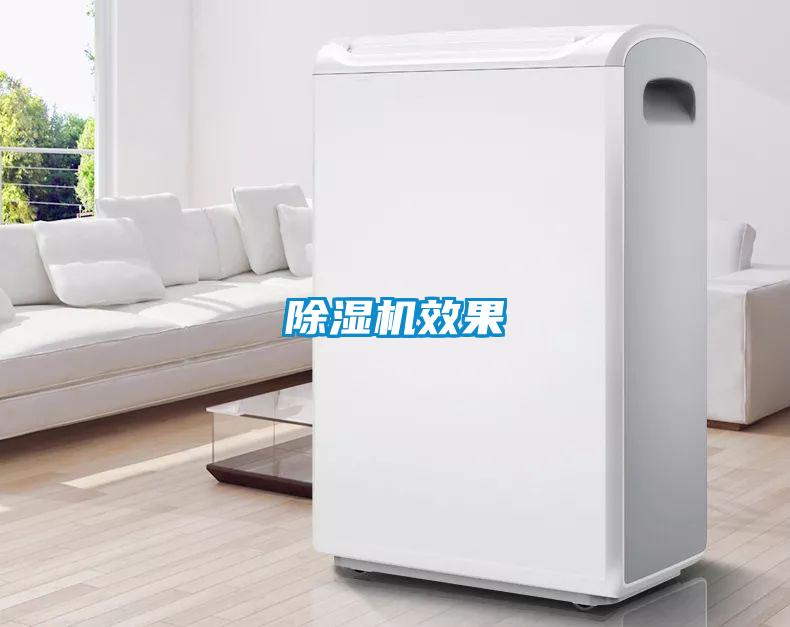 草莓视频APP在线观看效果