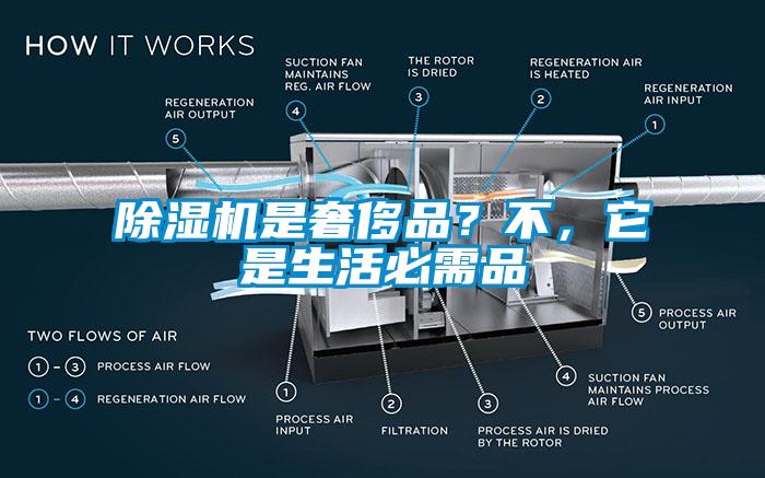 草莓视频APP在线观看是奢侈品？不，它是生活必需品