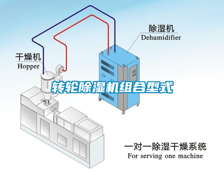 转轮草莓视频APP在线观看组合型式