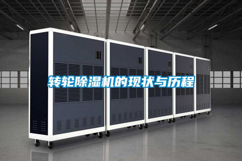 转轮草莓视频APP在线观看的现状与历程