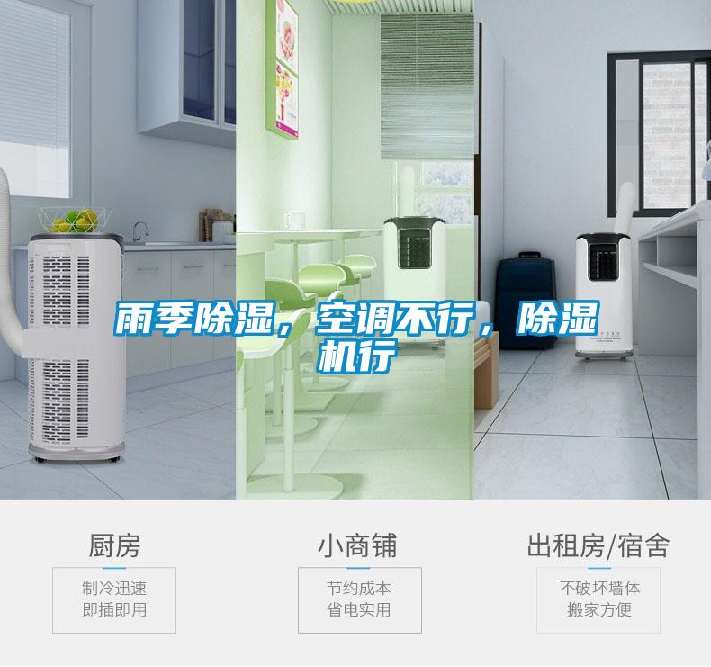 雨季除湿，空调不行，草莓视频APP在线观看行