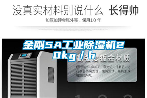 金刚5A工业草莓视频APP在线观看20kg／h