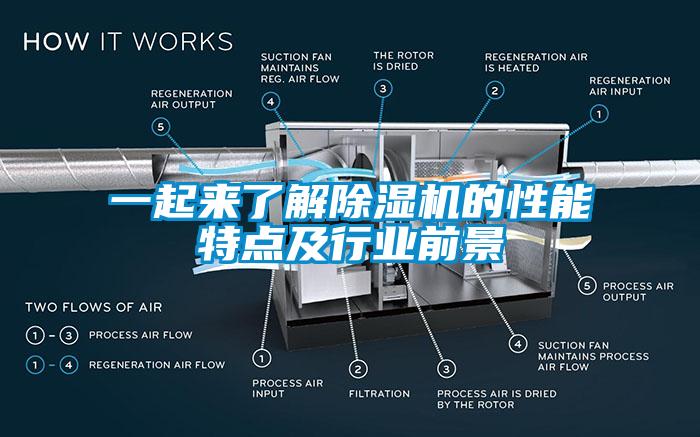 一起来了解草莓视频APP在线观看的性能特点及行业前景