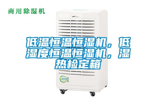低温恒温恒湿机，低湿度恒温恒湿机，湿热检定箱