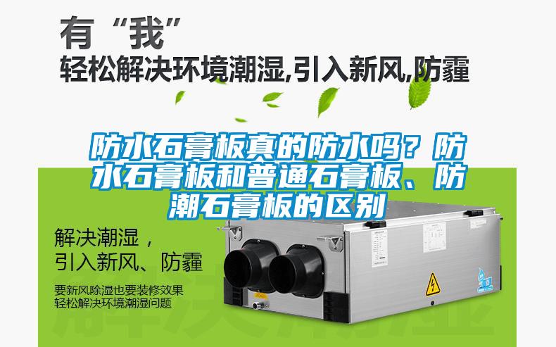 防水石膏板真的防水吗？防水石膏板和普通石膏板、防潮石膏板的区别
