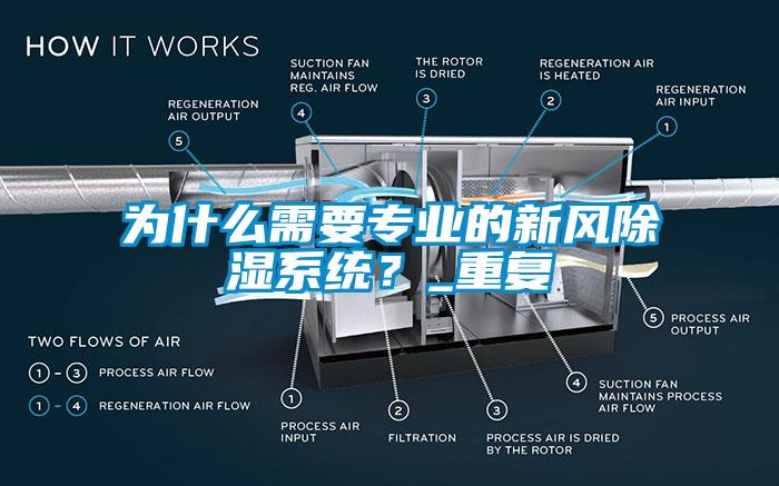 为什么需要专业的新风除湿系统？_重复