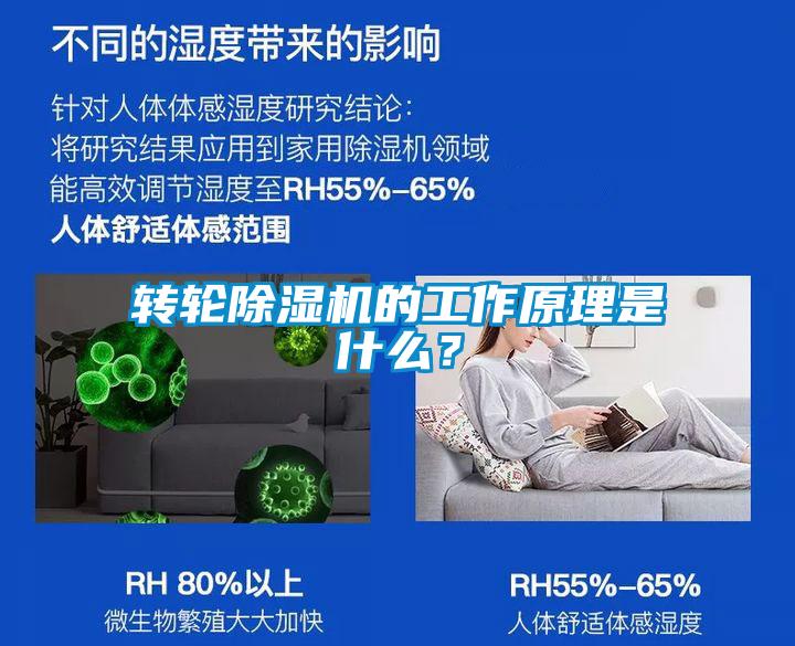 转轮草莓视频APP在线观看的工作原理是什么？