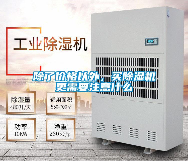 除了价格以外，买草莓视频APP在线观看更需要注意什么